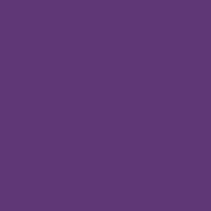 shiny dark purple