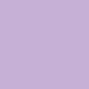 shiny african violet